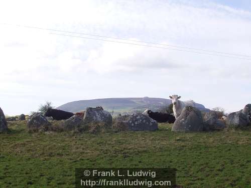 Carrowmore Megalithic Cemetery, County Sligo